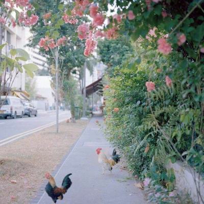 电子mg官方网站