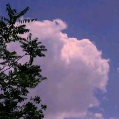 博鱼app手机app下载